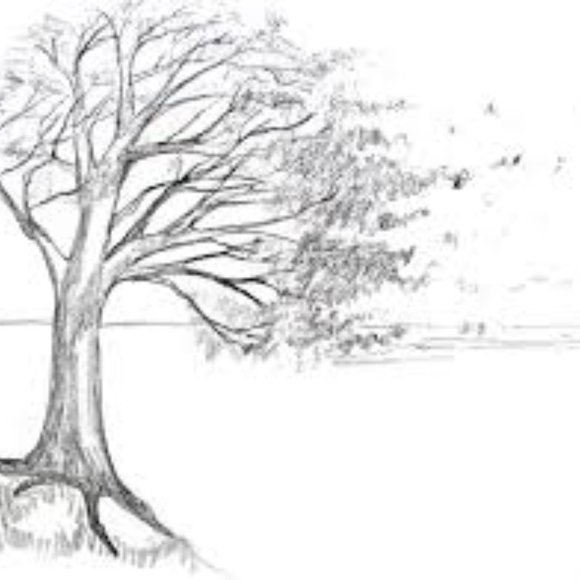 Meet your Posher, Angle - Picture 5 of 13